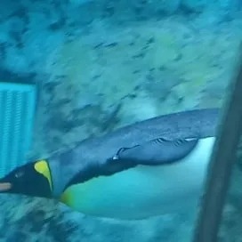 ジュンタロ