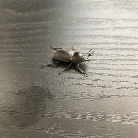 たっつん